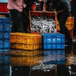 制服丝袜中文字幕无码专区 gqlxc