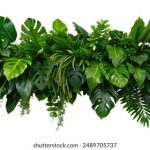 别急妈又不是不给你日 iu95jkb