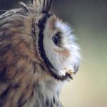 最近最新中文字幕高清 t3gbd915