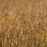 男人在线视频 t8y1z1