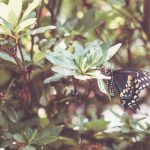 别进来了太大了会撑爆的 w86pb5i46z