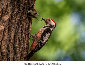 打飞机视频|股票行情 打飞机视频|股票行情