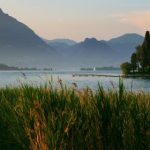 万能播放器:畅享无缝播放体验,满足所有视听需求 60euflsg3h