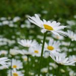 万能播放器下载:轻松享受多种格式视频音频的最佳选择 70xe8k