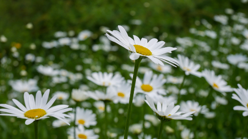 万能播放器下载:轻松享受多种格式视频音频的最佳选择 万能播放器下载:轻松享受多种格式视频音频的最佳选择