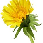 偏离轨道的单恋:一段无法言说的漫画旅程 c3yat9