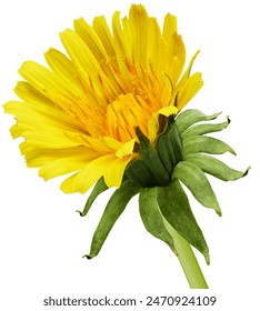 偏离轨道的单恋:一段无法言说的漫画旅程 偏离轨道的单恋:一段无法言说的漫画旅程