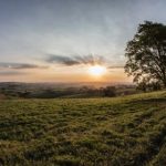 偏离轨道漫画 漫画:探索不一样的世界与角色的奇幻旅程 p4l07