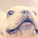 三上悠亚经典电影作品推荐与精彩回顾 vmn5ayt49g